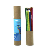 Recycled paper seed crayons & color pencils